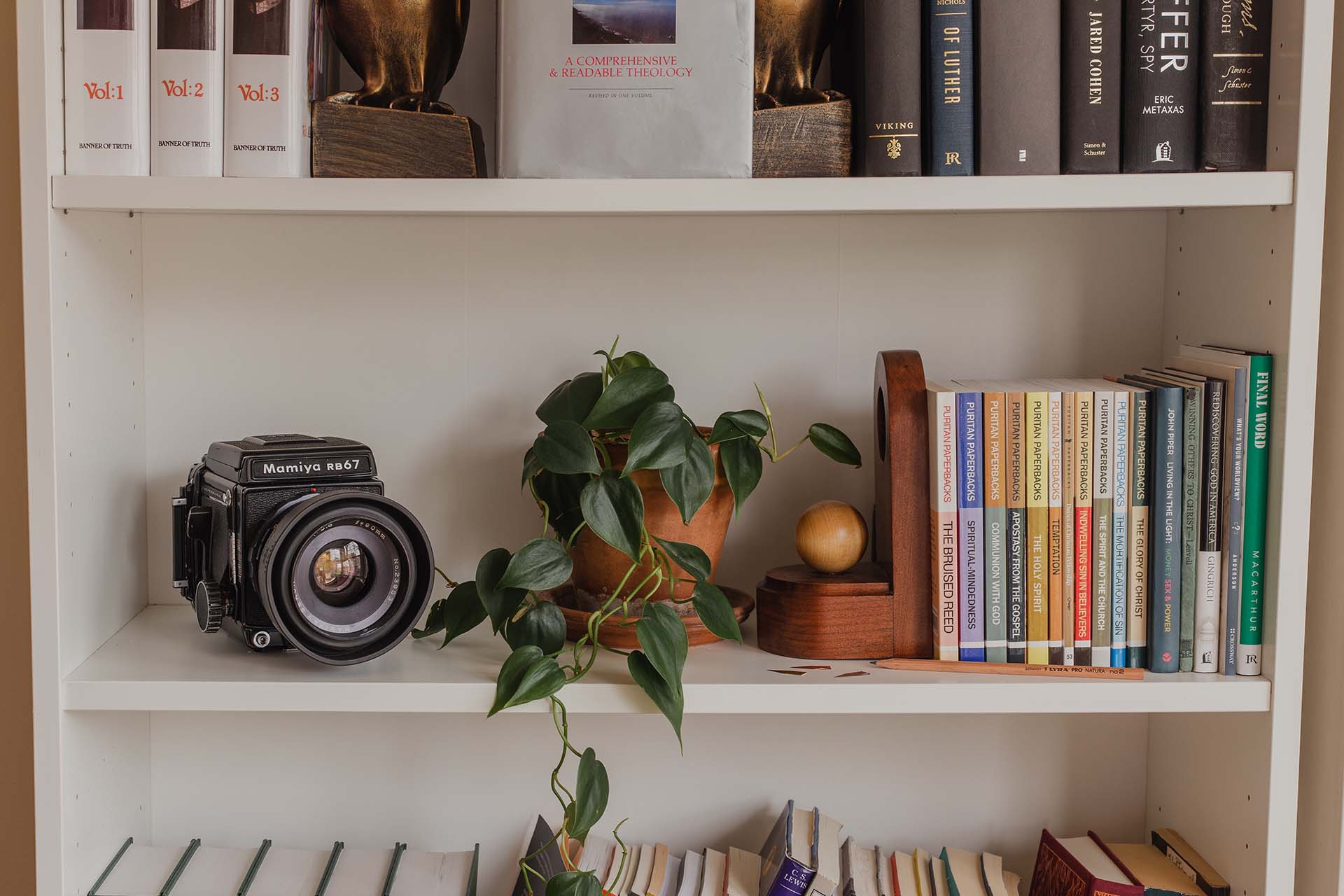 Bookshelf with books, potted plants, and film camera.