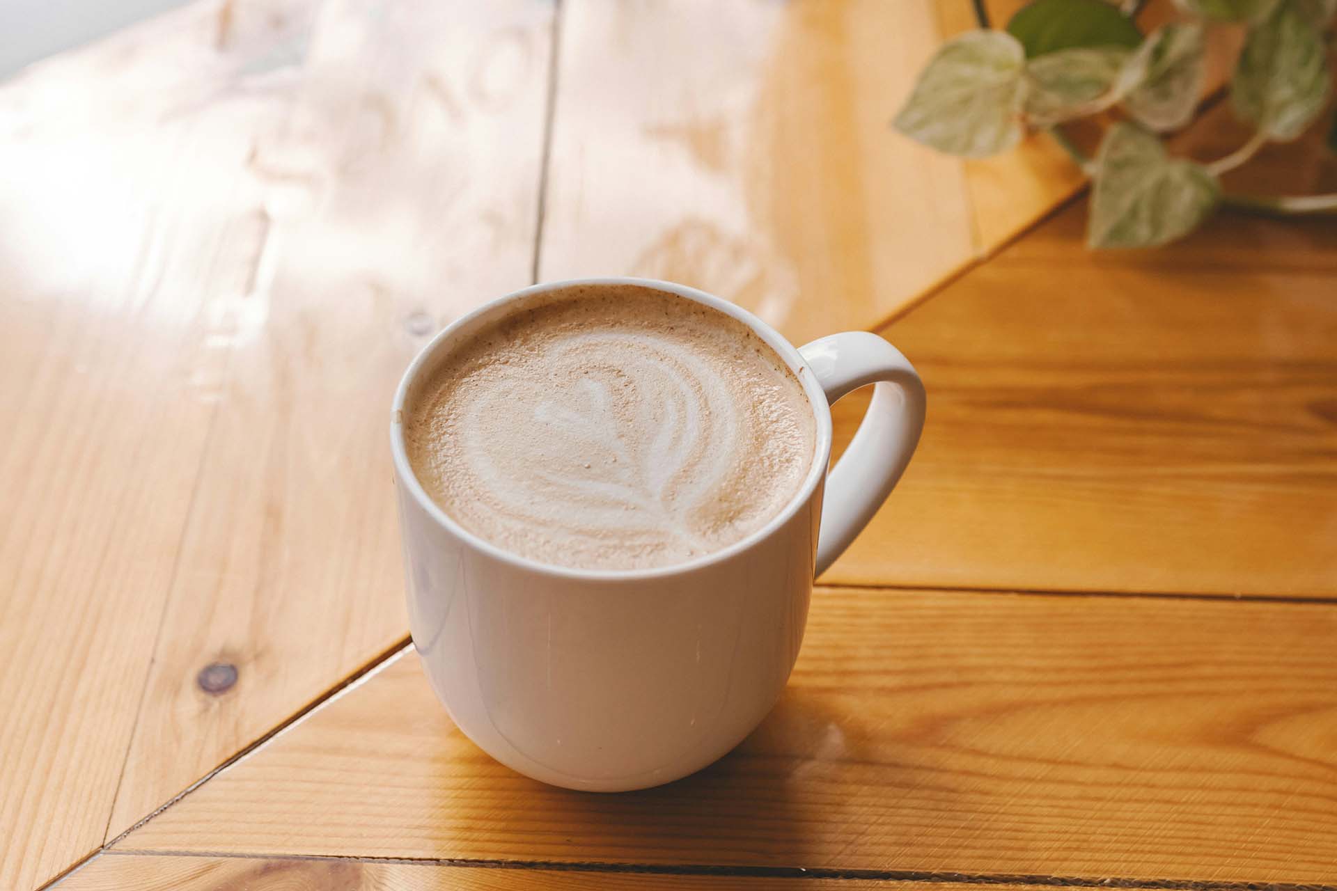 Coffee mug on wood table with plant.